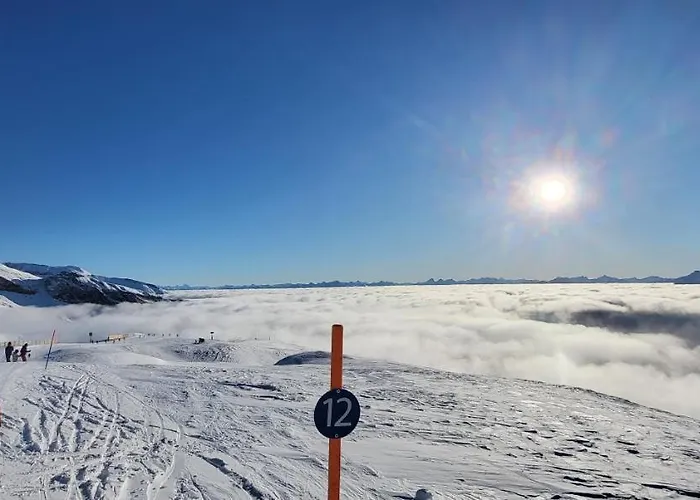 Stenna Allegra * Flims