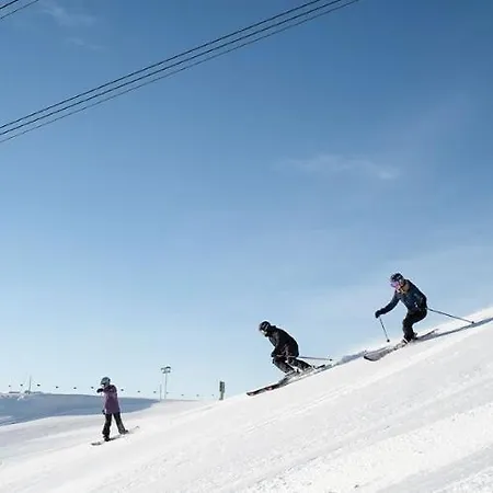 Stenna Allegra 弗利姆斯