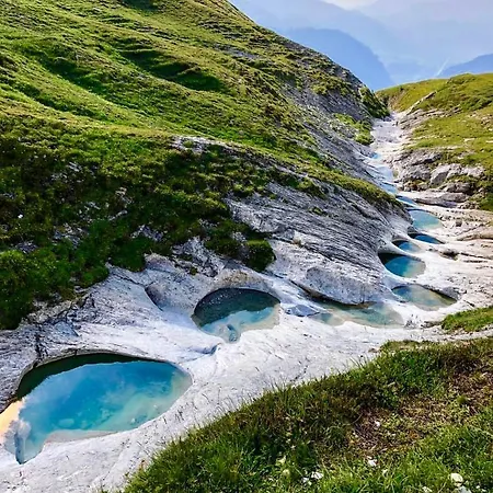 Stenna Allegra * 弗利姆斯