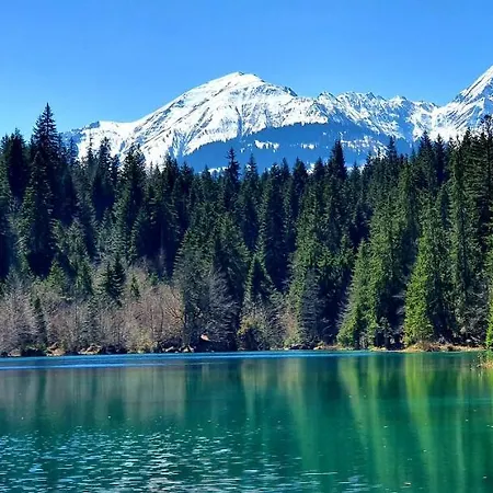 公寓 Stenna Allegra