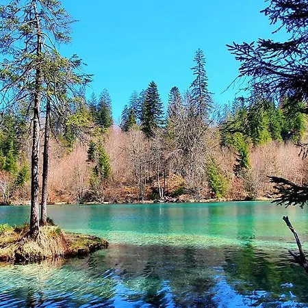 Stenna Allegra 公寓