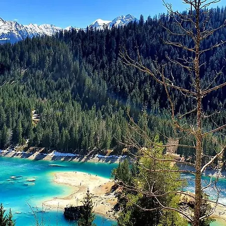 Stenna Allegra * 弗利姆斯