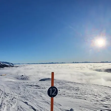 Stenna Allegra * 弗利姆斯