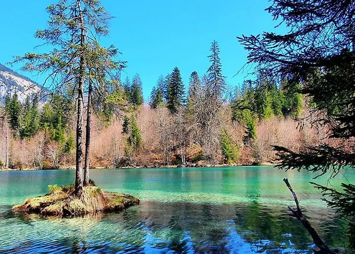 Stenna Allegra Daire