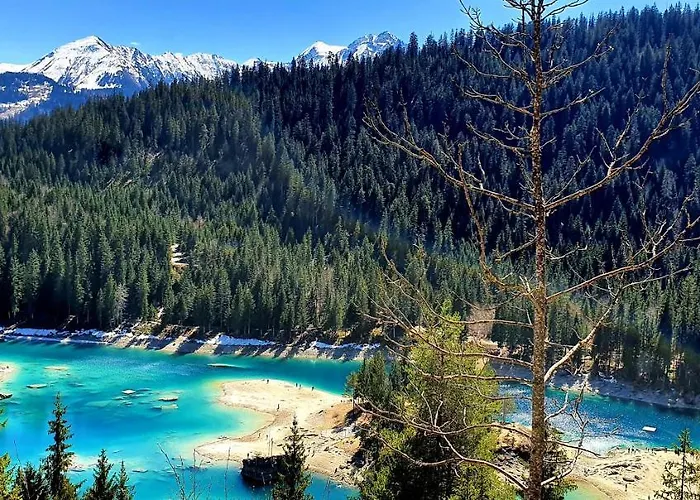 Stenna Allegra * פלימס