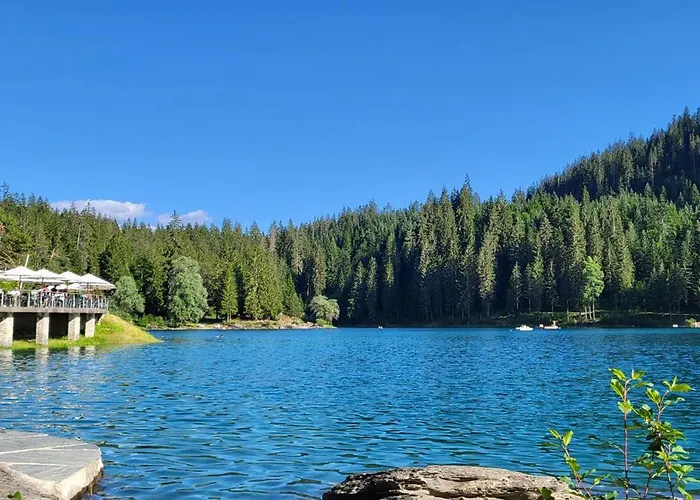 Stenna Allegra Daire *